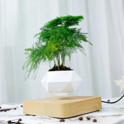 Levitating Air Bonsai Pot Rotation Flower Pot Planters Magnetic  Suspension Floating Pot Potted Plant Home Desk Decor