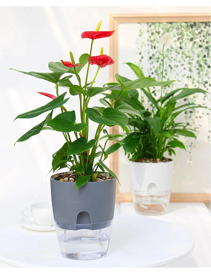 AS High Transparent Series Self Watering Planter Double-layer Resin Flowerpots Desktop Plant Pot for Horticultural Planting Pots