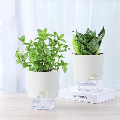 AS High Transparent Series Self Watering Planter Double-layer Resin Flowerpots Desktop Plant Pot for Horticultural Planting Pots