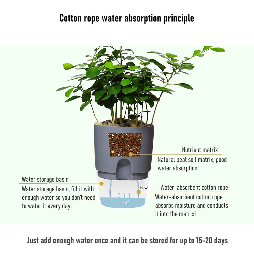 AS High Transparent Series Self Watering Planter Double-layer Resin Flowerpots Desktop Plant Pot for Horticultural Planting Pots