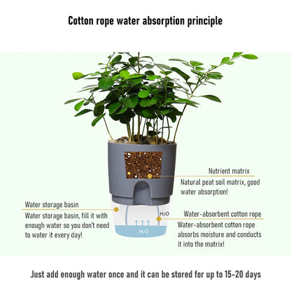 AS High Transparent Series Self Watering Planter Double-layer Resin Flowerpots Desktop Plant Pot for Horticultural Planting Pots