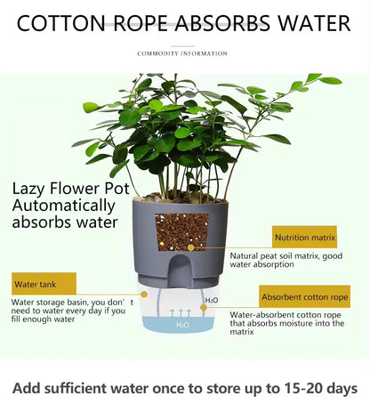 AS High Transparent Series Self Watering Planter Double-layer Resin Flowerpots Desktop Plant Pot for Horticultural Planting Pots